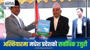 अख्तियारमा परेका उजुरीमा मधेश प्रदेश अगाडि, स्थानीय तहका शीर्ष १० मध्ये आठ मधेशका