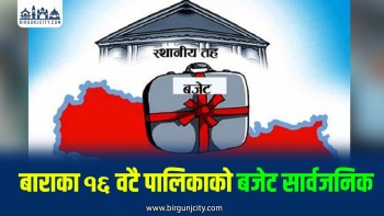 बाराका १६ वटै पालिकाले सार्वजनिक गरे आगामी आर्थिक वर्ष २०८३/०८४ को बजेट