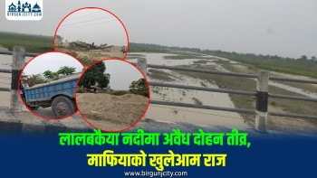 "तै चुप,मैचुप",लालबकैयामा "ब्रह्लुट"
