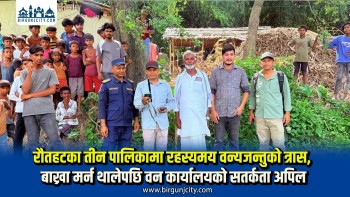 घरपालुवा पशु धमाधम मारिन थालेपछि रौतहटमा वन कार्यालयको उच्च सतर्कता