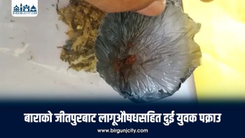 जीतपुरमा खैरो हेरोइन र गाँजासहित दुई युवक पक्राउ