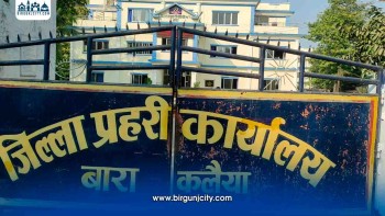 बारामा स्कुटरमा सवार दुई जनामाथि मौरीको आक्रमण, दुवै घाइते