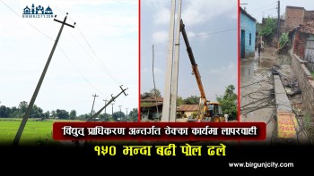 विद्युत् प्राधिकरण अन्तर्गत ठेक्का कार्यमा लापरवाही, १५० भन्दा बढी पोल ढले (भिडियो रिपोर्ट)