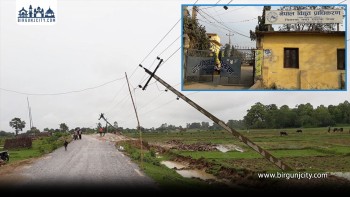 विद्युत् प्राधिकरण अन्तर्गत ठेक्का कार्यमा लापरवाही, १५० भन्दा बढी पोल ढले