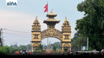 वीरगञ्ज नाका हुँदै ६ महिनामा ४८ अर्बभन्दा बढीको वस्तु निर्यात