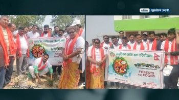 स्वच्छ वातावरणका लागि वृक्षारोपण जरुरी : गाउँपालिका अध्यक्ष श्रीकान्त यादव