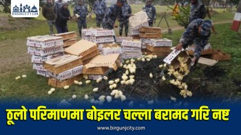 ठूलो परिमाणमा भारतबाट अवैधरूपमा नेपाल भित्र्याइँदै गरिए  बोइलर चल्ला बरामद, एक जना पक्राउ