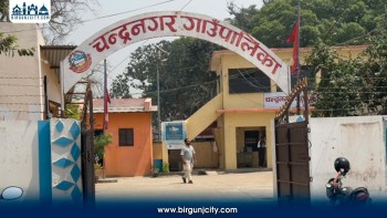 सर्लाहीको चन्द्रनगर गाउँपालिकाको करोडौं बजेट फ्रिज, अध्यक्ष र प्रशासकीय अधिकृतबीच आरोप–प्रत्यारोप