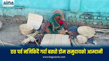 छठ पर्व नजिकिएसँगै महोत्तरीका डोम समुदायलाई बाँसका सामग्री बनाउन भ्याइनभ्याइ, लाखौँको कारोबार