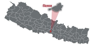 चितवनमा विवाहको भोज खाँदा ९३ जना बिरामी