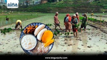 असार १५ : दही–चिउरा खाएर मनाइँदै राष्ट्रिय धान दिवस