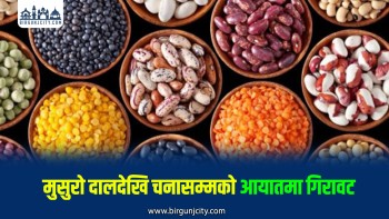 वीरगंज नाकाबाट दलहन आयातमा २२ प्रतिशत गिरावट