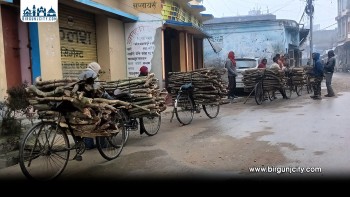 जाडो बढेसँगै बाराका ग्रामीण क्षेत्रमा दाउरा बिक्रीमा निर्भरता बढ्दै