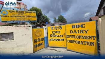 मधेस प्रदेशको मुख्यमन्त्री कार्यालय परिसरमा डीडीसीको दुग्धजन्य सामग्री बिक्री स्टल सञ्चालन हुने तयारी