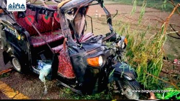 टेम्पोमाथि रूख ढल्दा दुई जनाको मृत्यु तीन जना घाइते