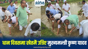 मुख्यमन्त्री कृष्ण यादवले धान रोपेर मनाए राष्ट्रिय धान दिवस