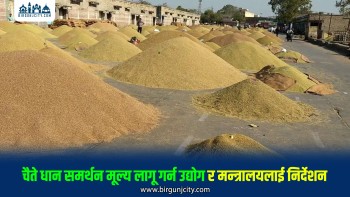 चैते धानको न्यूनतम समर्थन मूल्य कार्यान्वयन गर्न सरकारले सरोकारवालालाई ताकेता