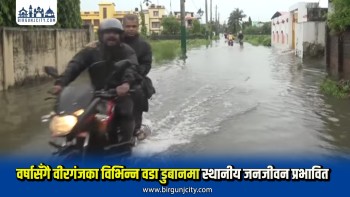 गएरातिको वर्षापछि वीरगंजका विभिन्न वडा पुनः डुबानमा, स्थानीयको जनजीवन प्रभावित