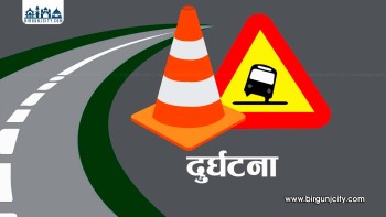 मकवानपुरको मनहरीमा यात्रुवाहक बस दुर्घटना, २२ जना घाइते