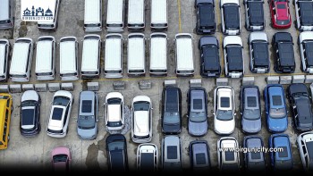 वीरगंज हुँदै विद्युतीय सवारीसाधनको आयात ह्वातै बढ्यो