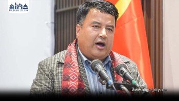 महेश बस्नेतलाई पक्राउ गर्न अदालतले दिएन अनुमति