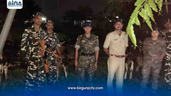 नेपालबाट भारत लैजाँदै गरेका १० वटा गाईगोरु नियन्त्रणमा