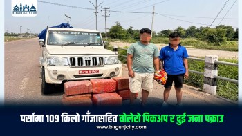 पर्सामा १ सय ९ किलो गाँजासहित बोलेरो पिकअप र दुई जना पक्राउ