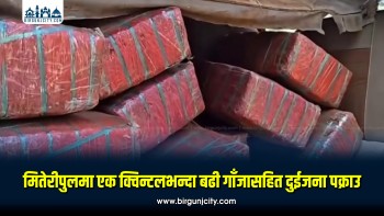 मितेरीपुलमा एक क्विन्टलभन्दा बढी गाँजा बरामद, दुई जना पक्राउ