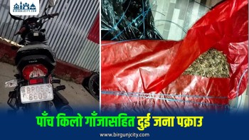 पाँच किलो गाँजासहित दुई जना पक्राउ