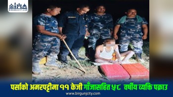 पर्साको सीमाक्षेत्रबाट ११ केजी गाँजासहित एक जना पक्राउ