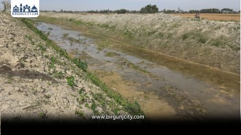 गण्डक नहर सरसफाइ तीव्र, अतिक्रमणले बढायो चुनौती