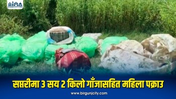 सप्तरीमा तीन क्विन्टलभन्दा बढी गाँजासहित एक जना पक्राउ