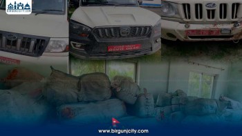 सप्तरीबाट ३ हजार ३३२ किलोभन्दा बढी गाँजा बरामद, तीन सवारी नियन्त्रणमा