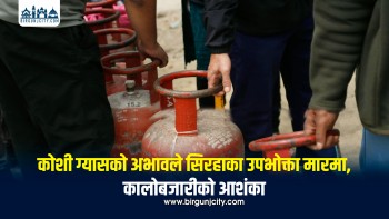 कोशी ग्यासको अभावले सिरहाका उपभोक्ता मारमा, कालोबजारीको आशंका