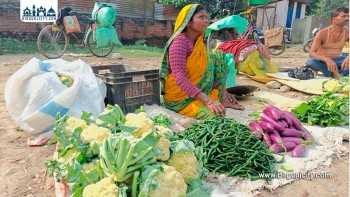 रक्सौलबाट क्वारेन्टिन जाँचबिनै वीरगंजमा तरकारी भित्रिँदै, जनस्वास्थ्यमा जोखिम