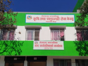 १२ वर्षपछि खुल्यो गाउँ ब्लक जग्गा दर्ताको बाटो