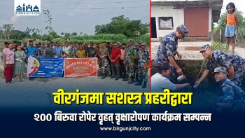 वीरगंजमा सशस्त्र प्रहरीद्वारा २०० बिरुवा रोपेर वृहत् वृक्षारोपण कार्यक्रम सम्पन्न (तस्बिरसहित)