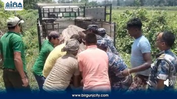 रौतहटमा लुकाइछिपाइ राखिएको अवैध सालको गोलिया काठ बरामद