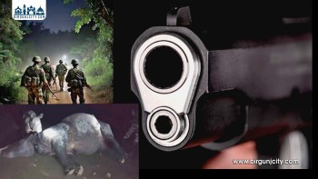 चितवन राष्ट्रिय निकुञ्जमा सेनाको गोली लागेर गैँडाको मृ'त्यु (भिडियो रिपोर्ट)
