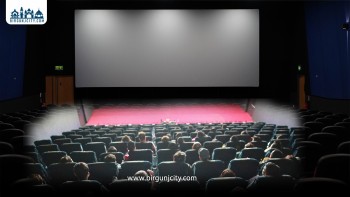 नेपाली फिल्म हलमा दर्शक किन पुग्दैनन् ?