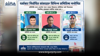 पर्साका चार सांसद संसदीय समितिमा मनोनित, विकासका मुद्दा उठ्ने अपेक्षा