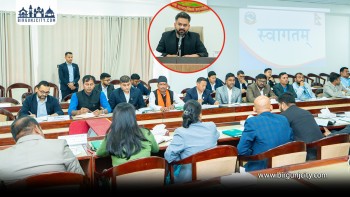 संसद हरि पन्तले  प्रधानमन्त्री बालेन साह समक्ष राखे सिर्सिया नदि प्रदुषण, क्यासिनोमा नेपालीको प्रवेश, मलखाद र महानगरको  अबैद्व असुलिको समस्या, प्रधानमन्त्रीले चाडैं सामाधान गर्ने दिए आश्वासन