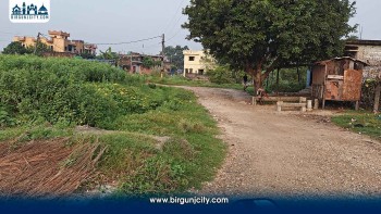वीरगंज–२० हरपतगञ्ज जाने मुख्य सडक ९ वर्षदेखि अलपत्र