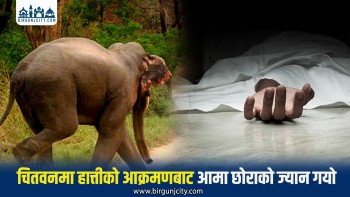 जंगली हात्तीको आक्रमणबाट आमा छोराको मृ'त्यु, घरमा आगलागी