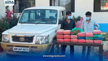 लागूऔषध गाँजासहित दुई भारतीय नागरिक प्रहरी नियन्त्रणमा