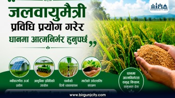 जलवायुमैत्री प्रविधिबाट धान उत्पादन बढाउँदै आत्मनिर्भर बन्नुपर्नेमा जोड