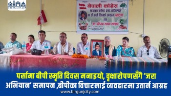 वि.पी. कोइरालाको ४४औँ स्मृति दिवसमा वृक्षारोपण तथा ‘जरा अभियान’ भव्य रूपमा सम्पन्न,बीपीका विचारलाई व्यवहारमा उतार्न आग्रह