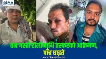 काठ तस्कर समूहको हमला, वन कर्मचारीसहित पाँच जना घाइते