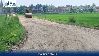 वर्षौंदेखि जीर्ण कलैया–मलाही सडकको मर्मतसम्भार सुरु