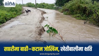 बाढी–कटान जोखिमले खेतीबालीमा क्षति